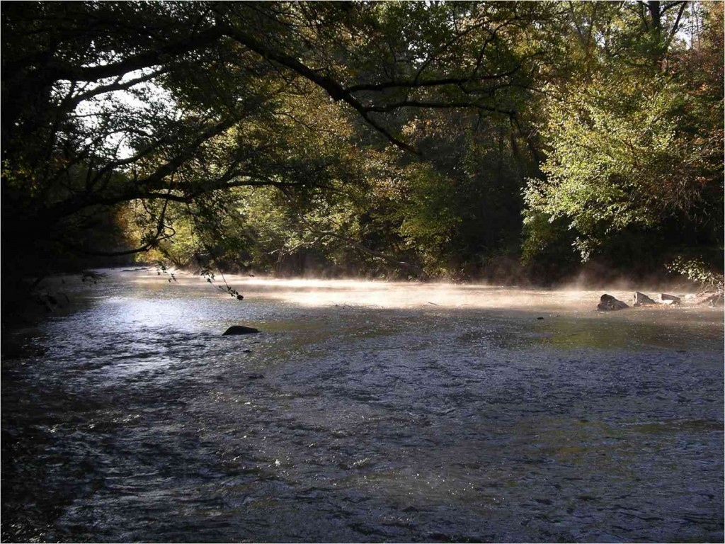 Guided Kayak