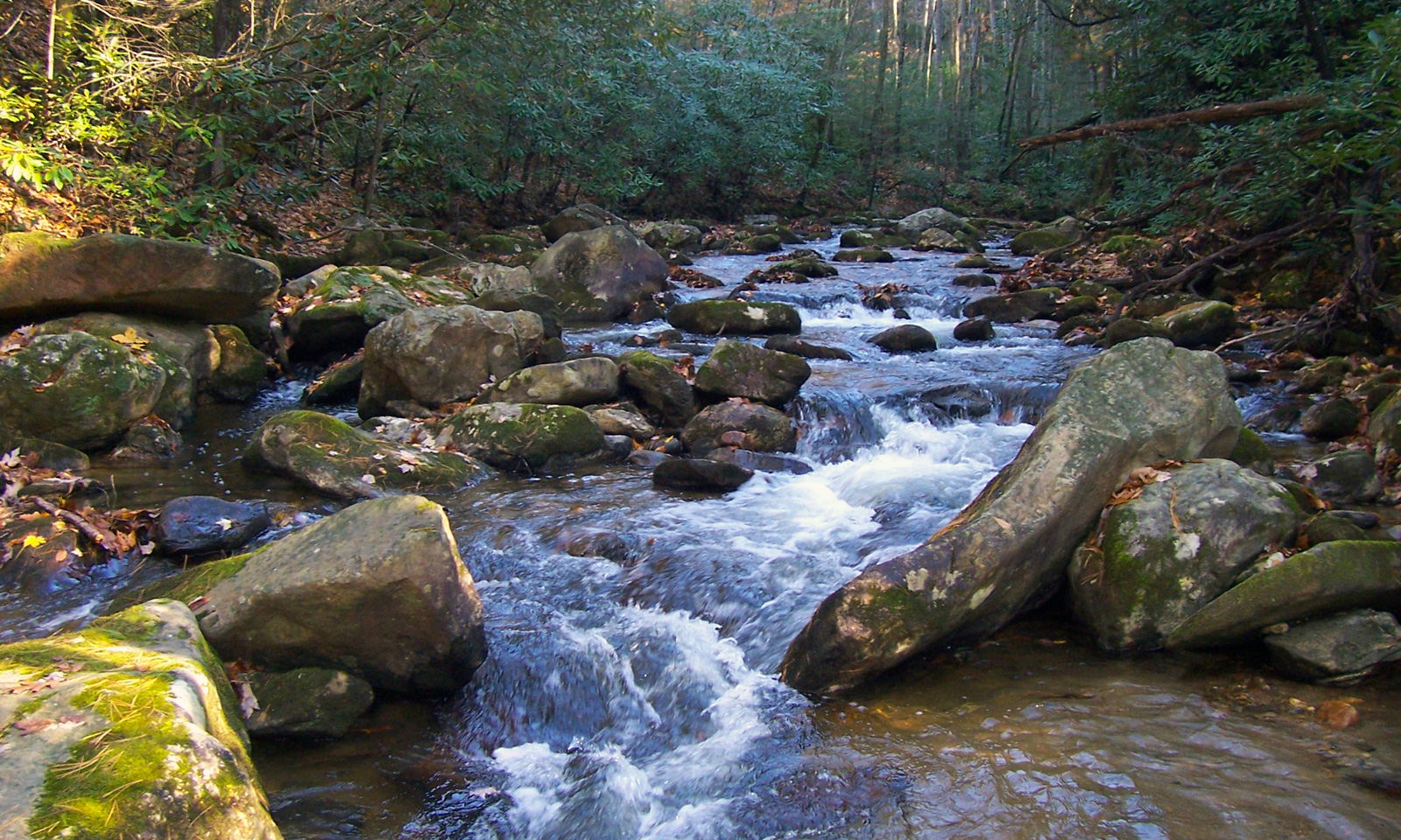 Getaway in Blue Ridge Mountains