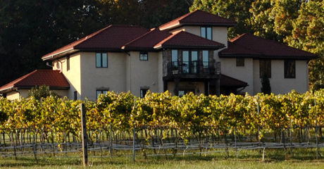 Morgan Ridge Vineyards