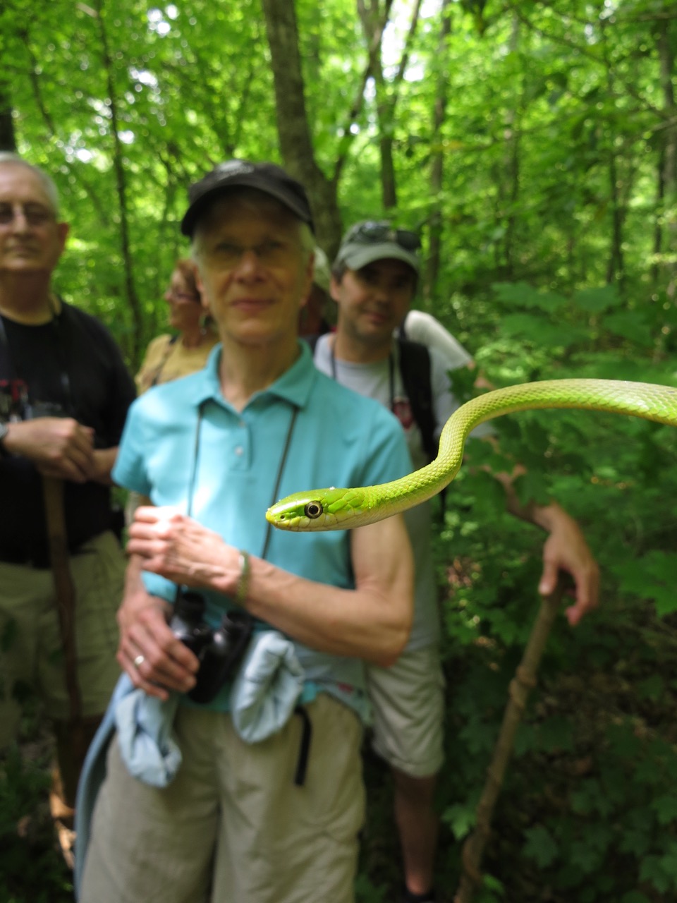 Fifth Annual Uwharrie Naturalist