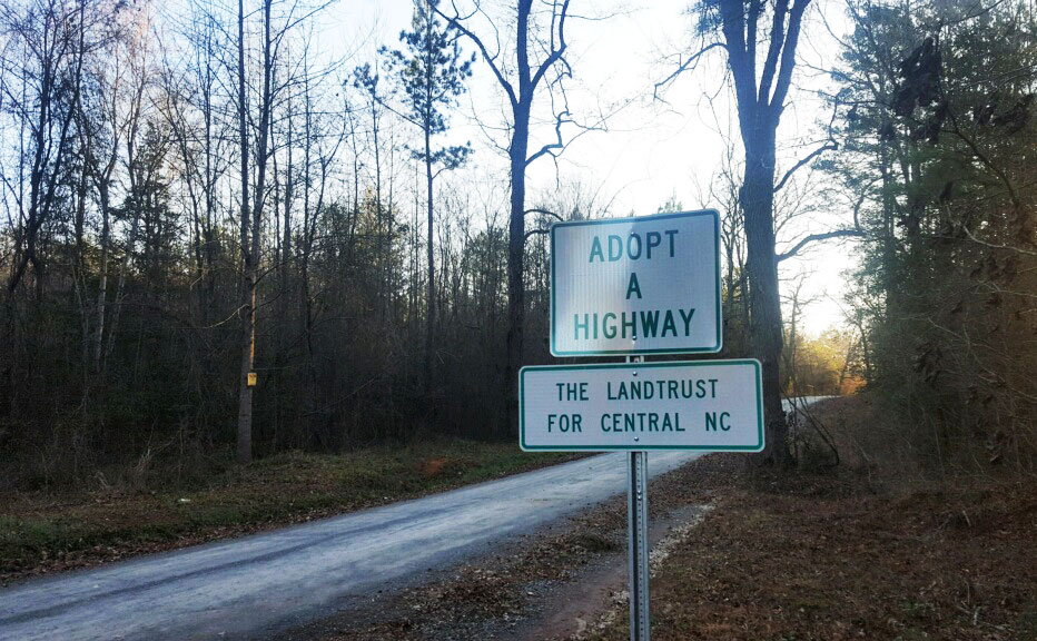 Roadside Litter