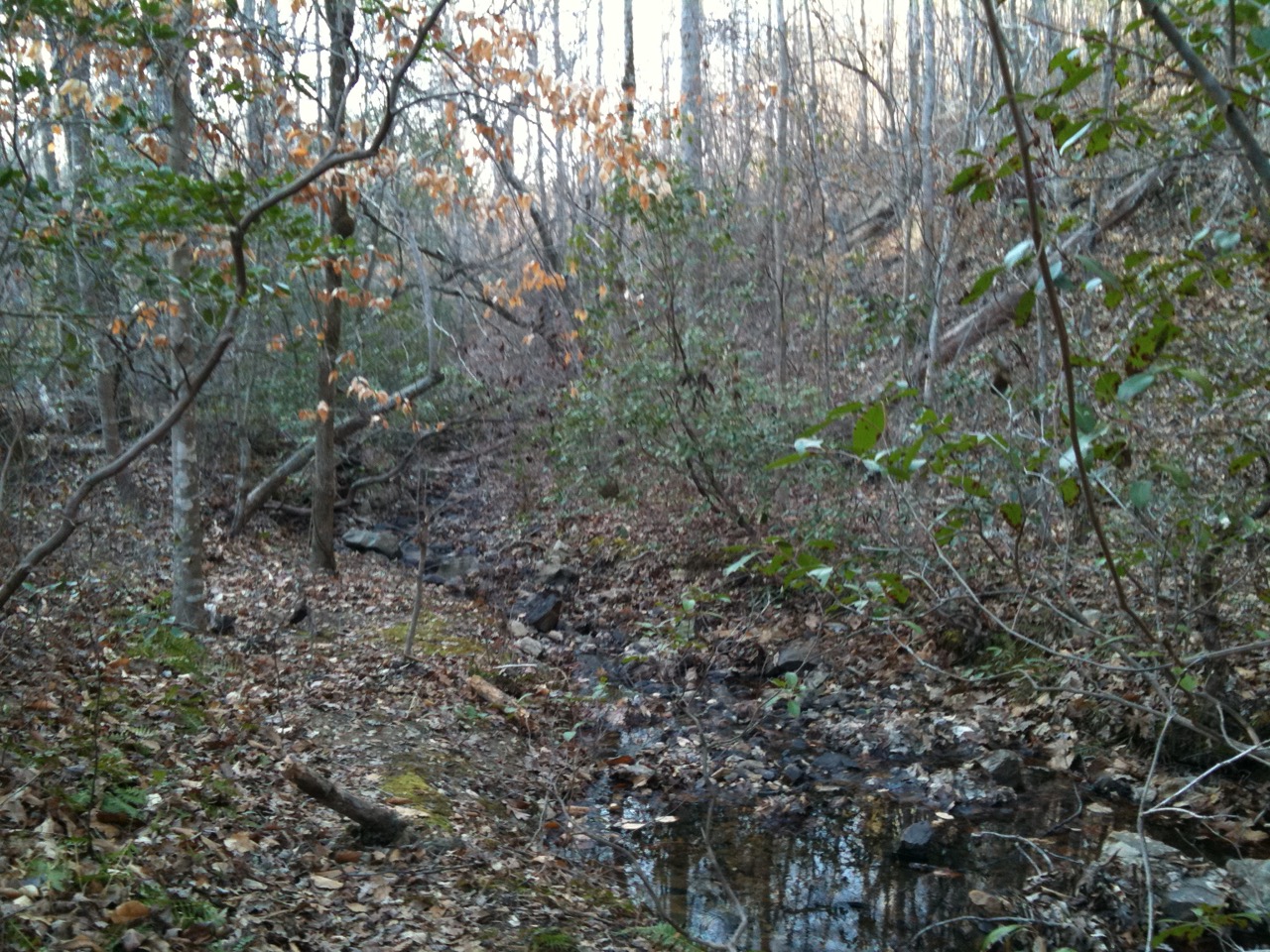 Wood Run Area 4 Mile Loop Trail