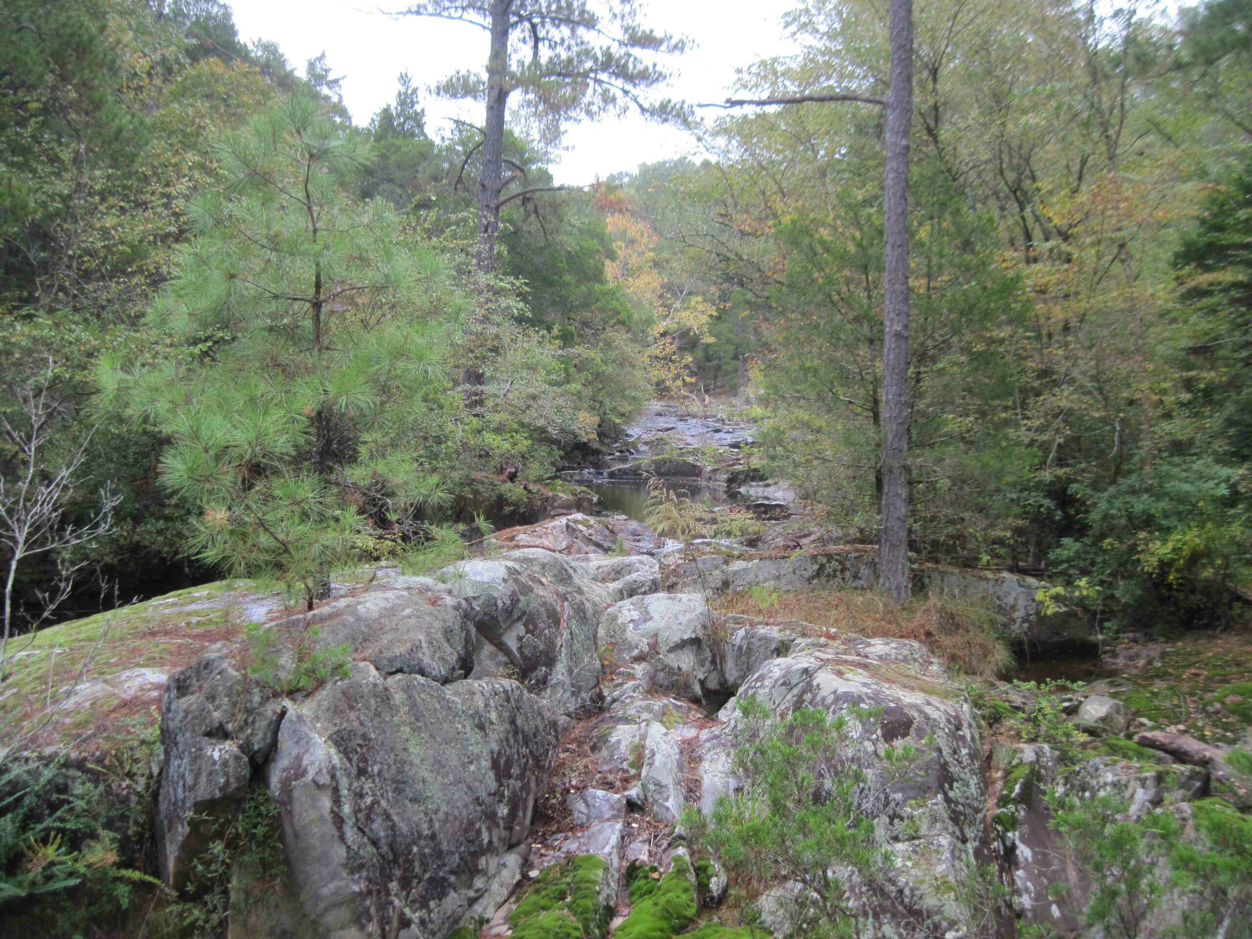 Rocky Creek Nature Hike