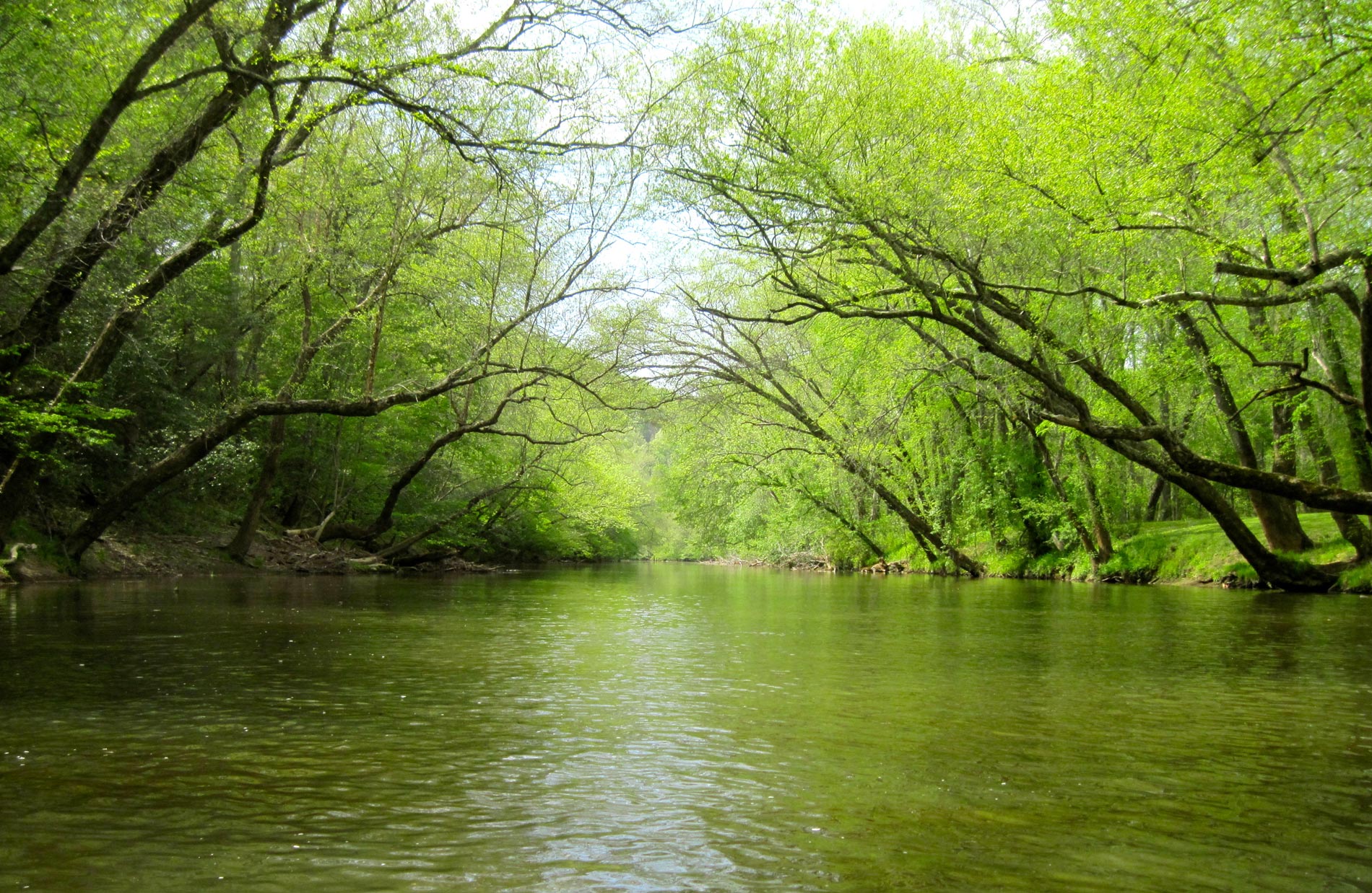 Uwharrie River