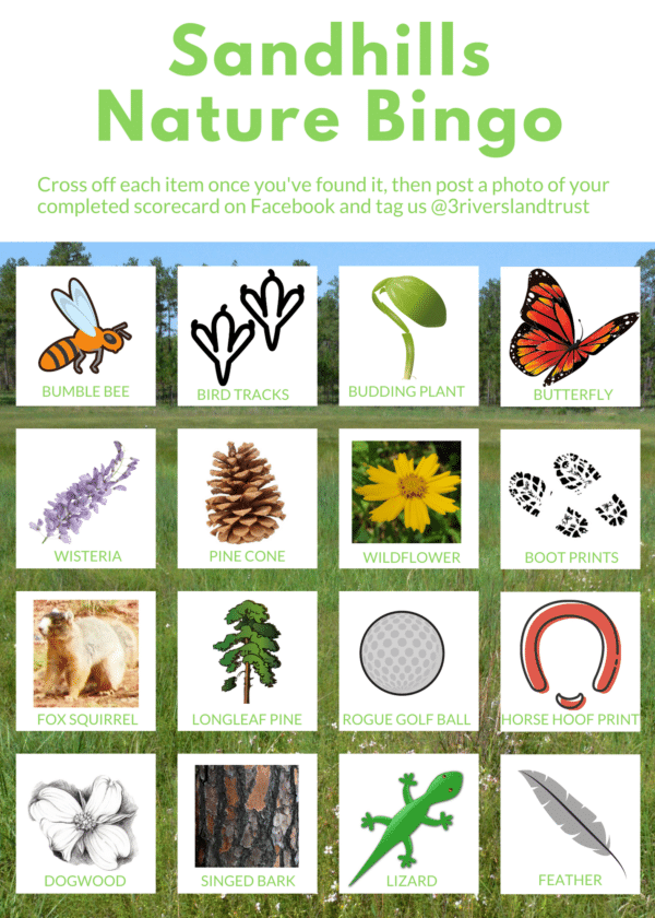 Image Leopold Society Nature Bingo