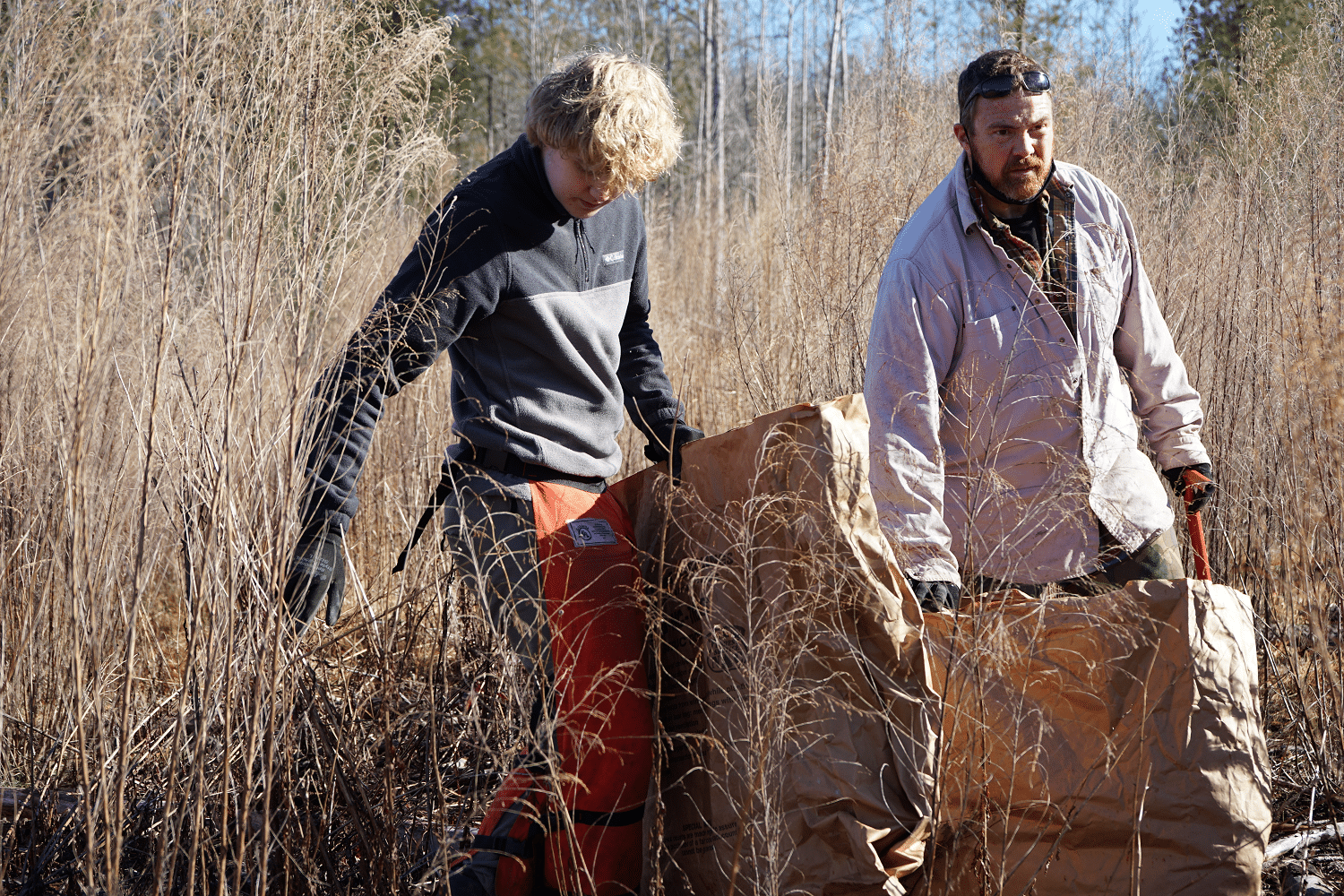 Image Tree Planting