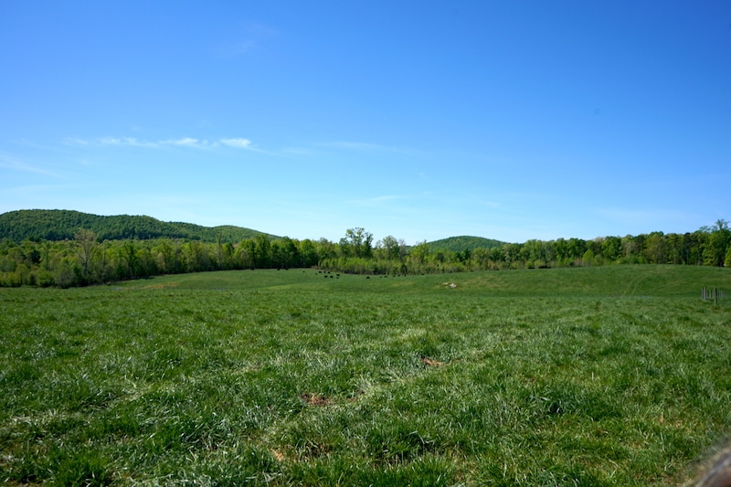 Image Farmland