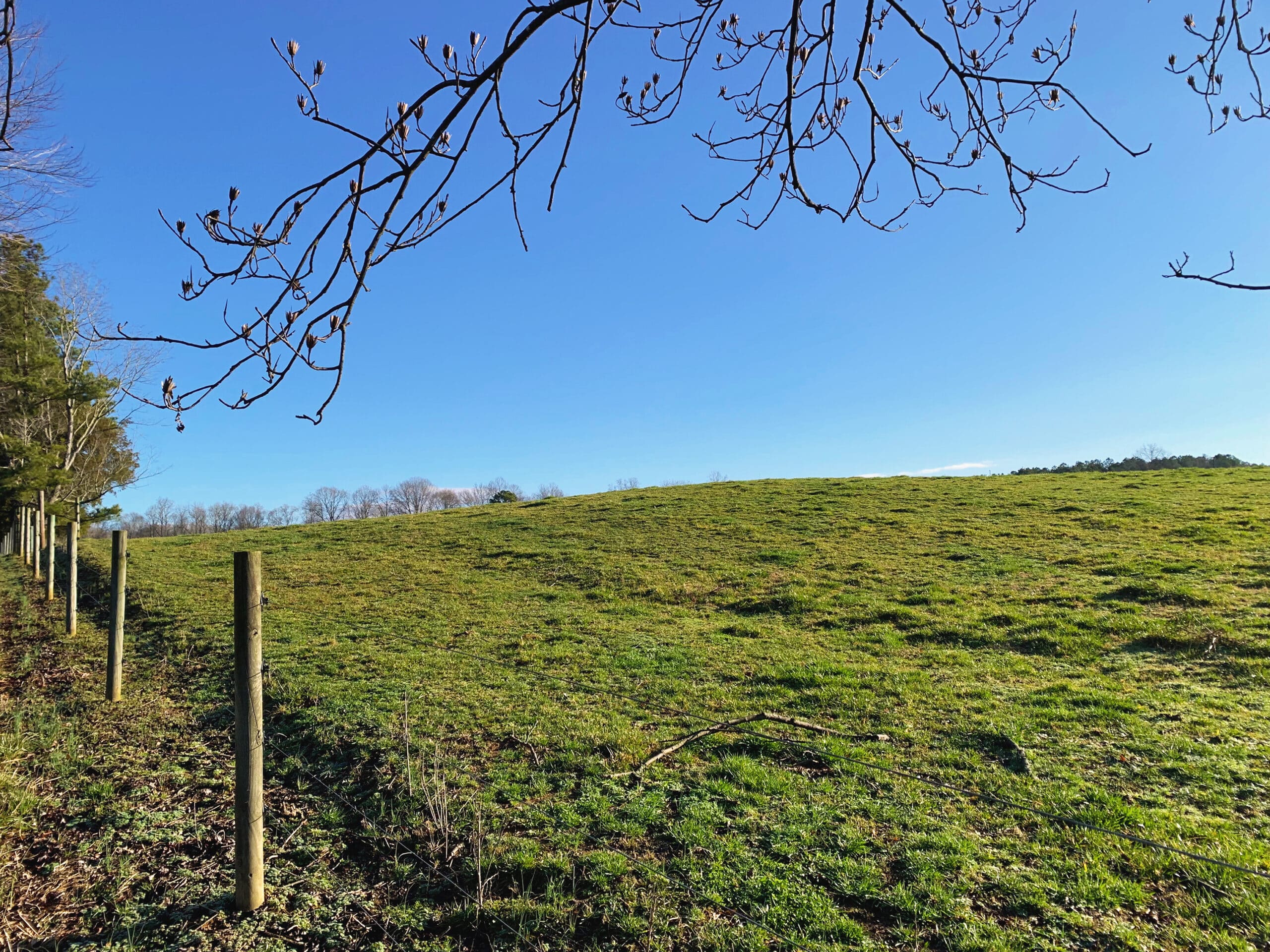 Image Farmland