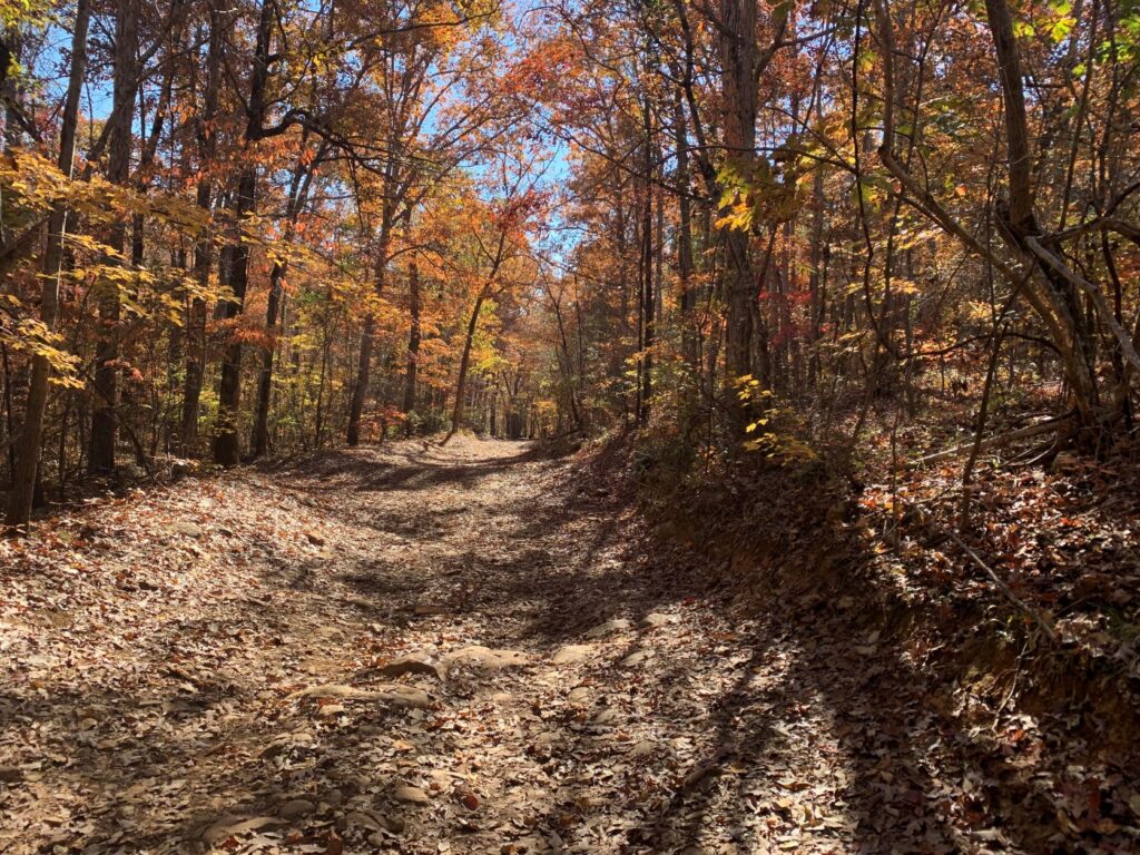 Image Uwharrie National Forest