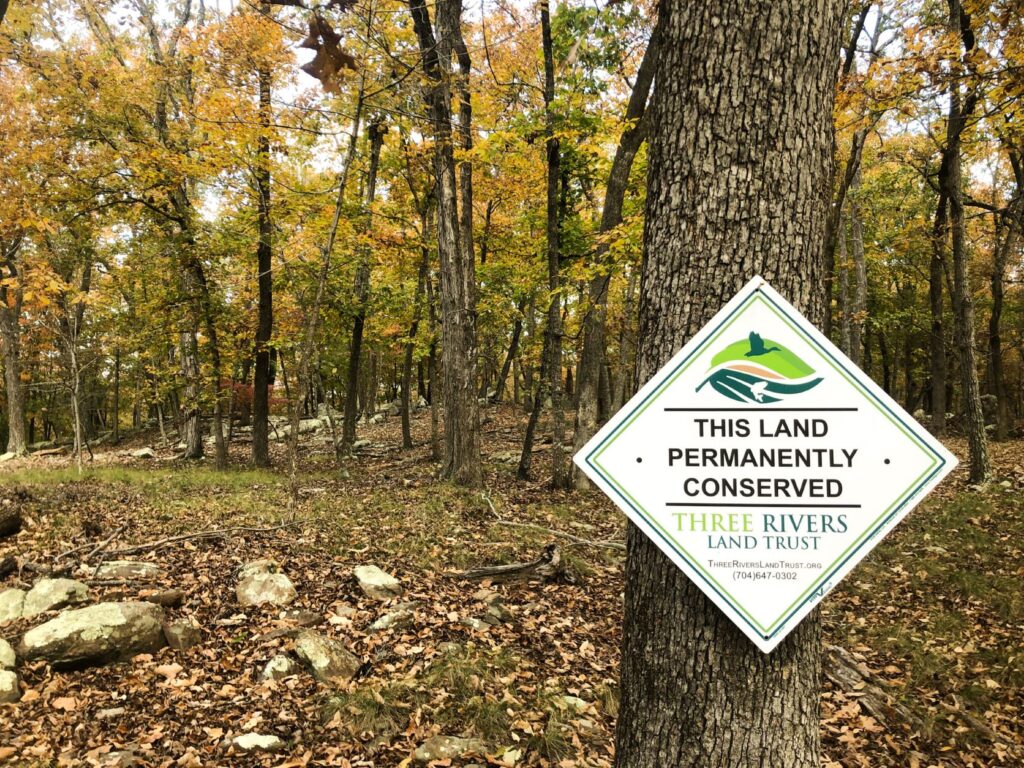 Image conservation of 215 Acres