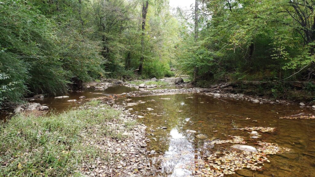 Image River