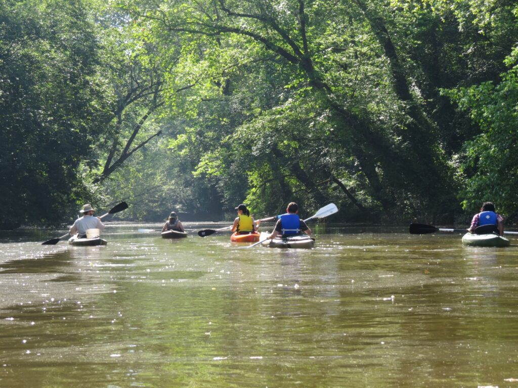 Image Kayaking