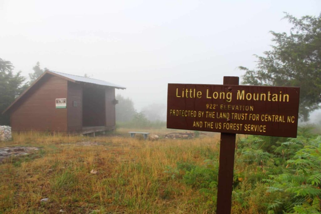 Image Cabin