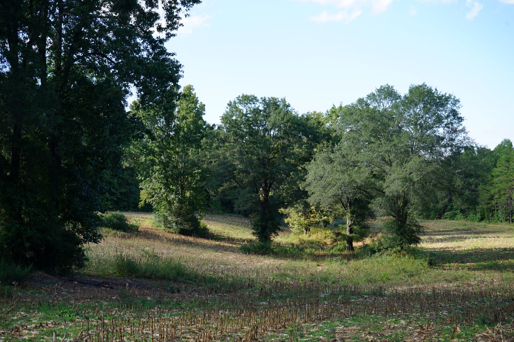 Image Farmland