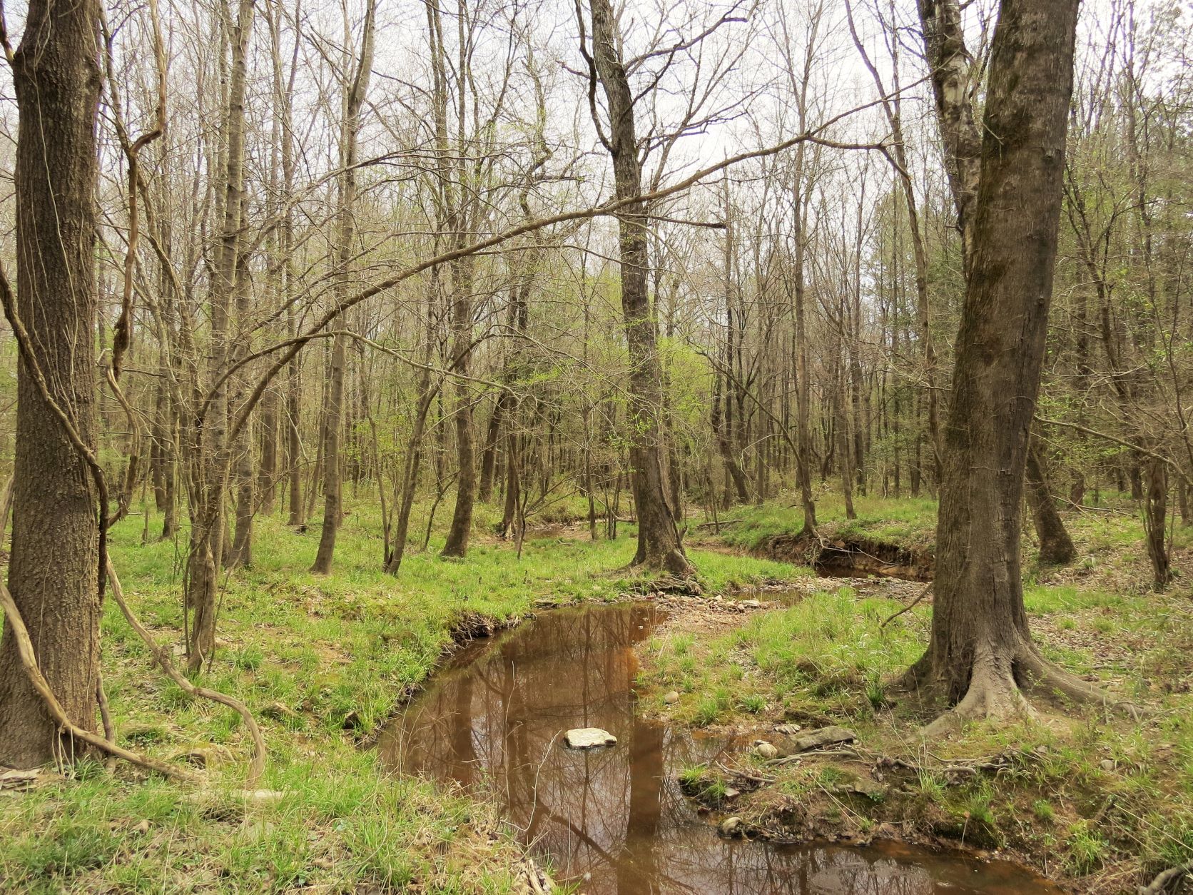 Image Protecting Water Quality