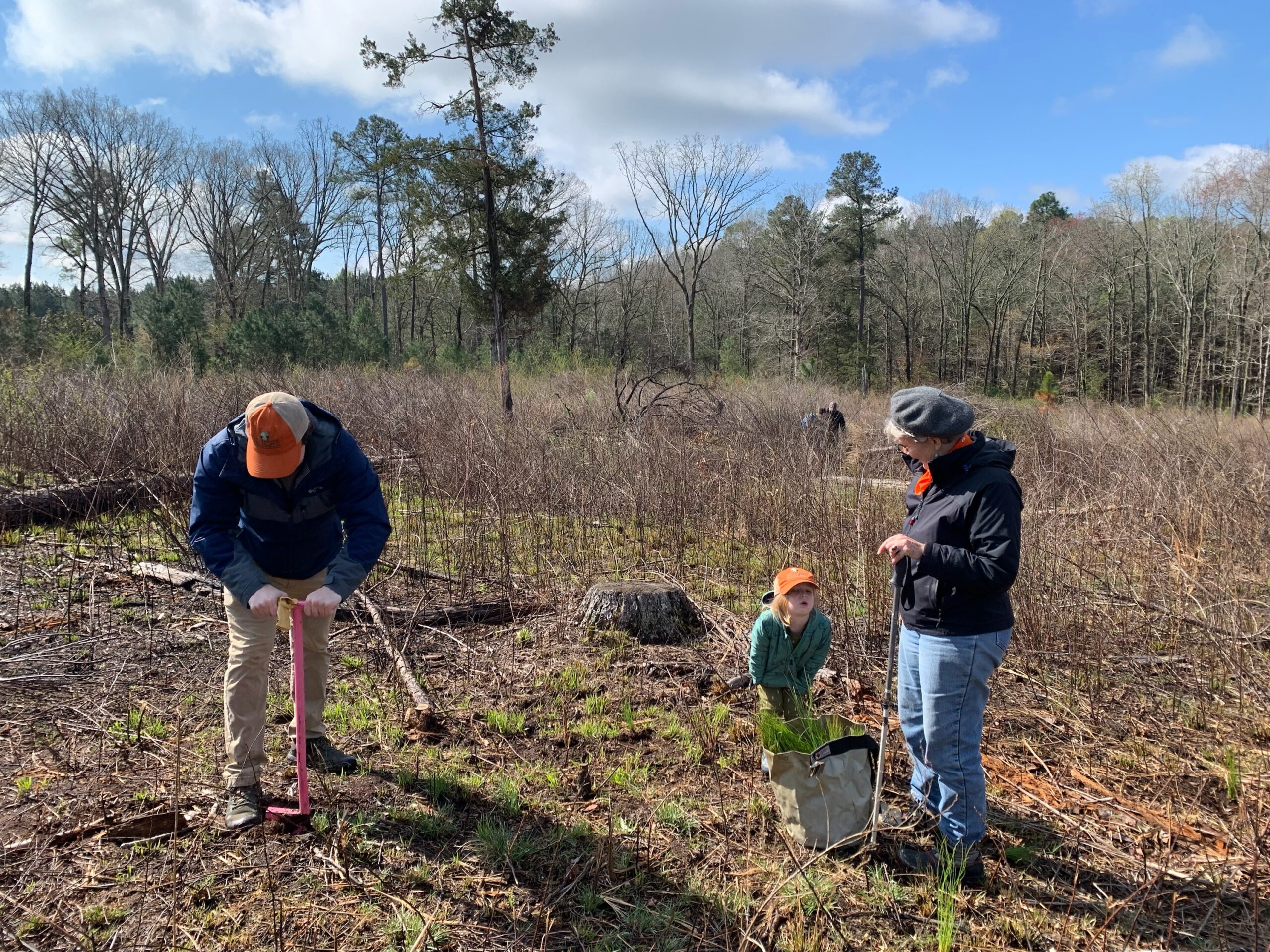 Image Planting