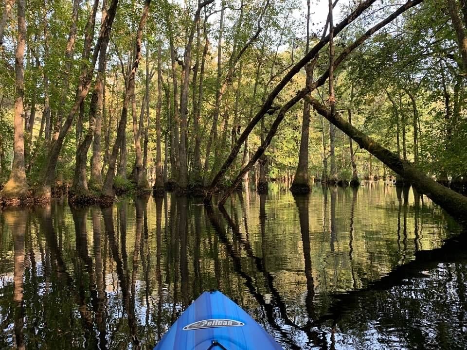 kayak