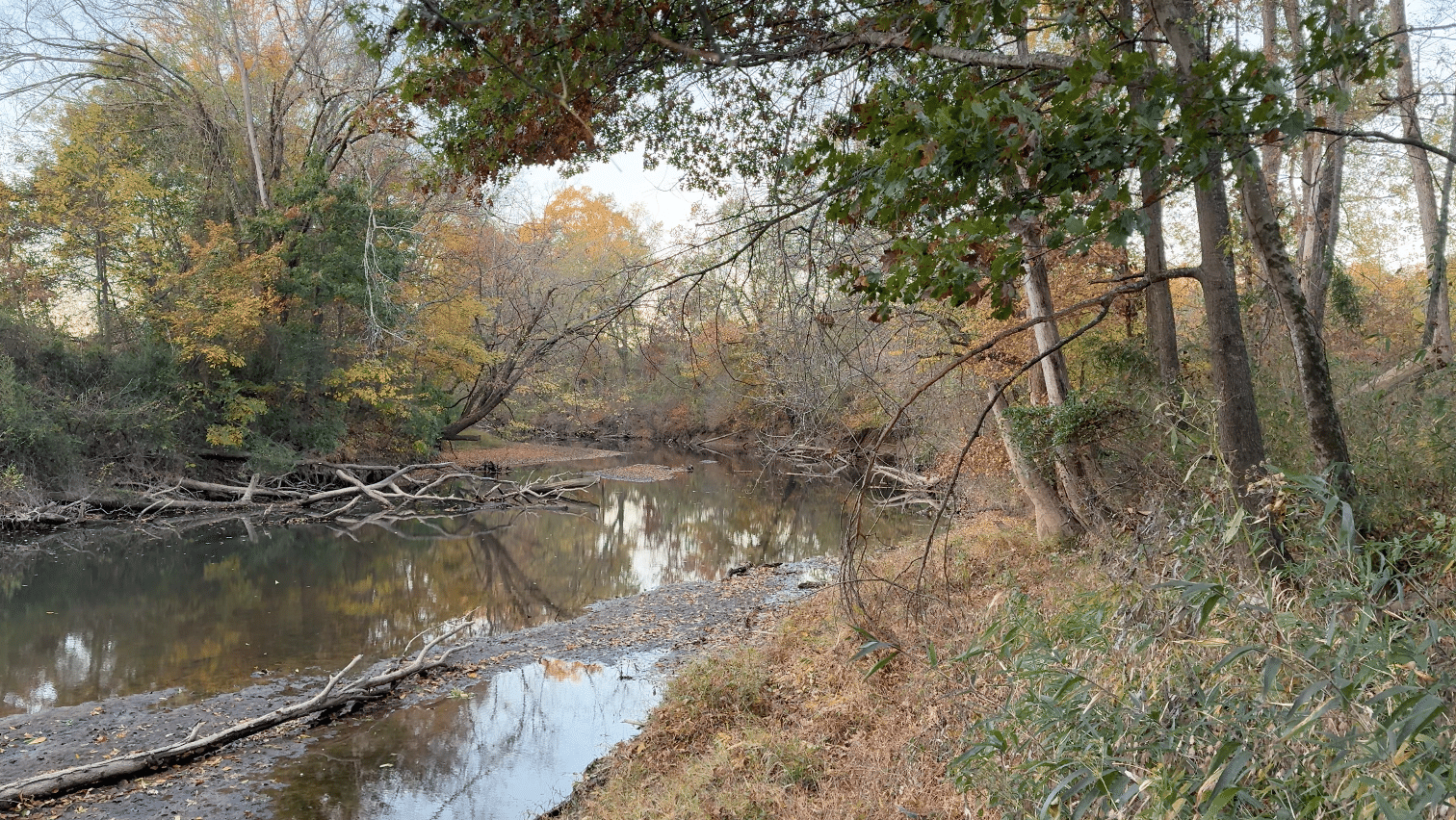 Abbotts Creek Greenway Image