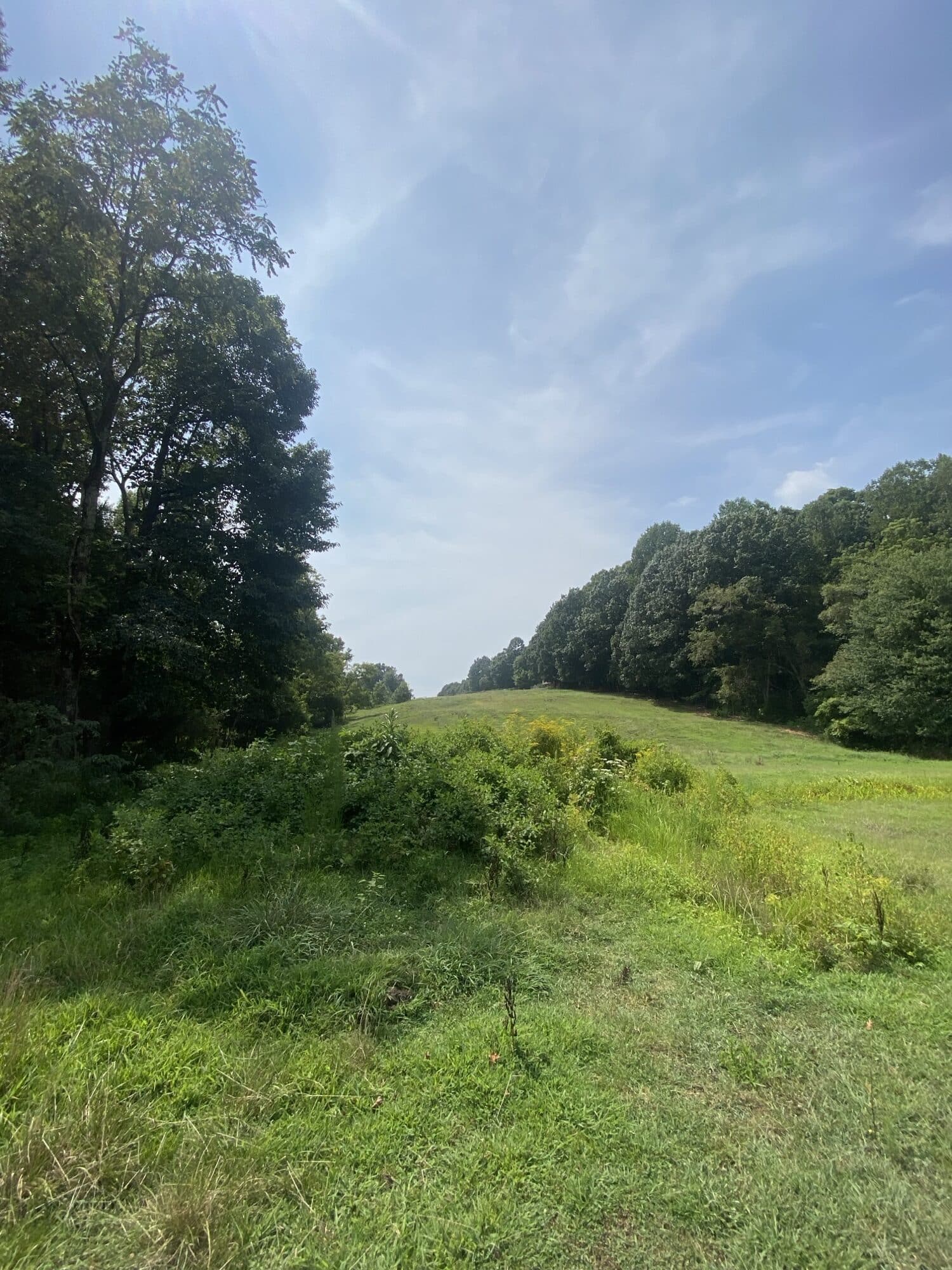 Image 50-acre Farm in Rowan County