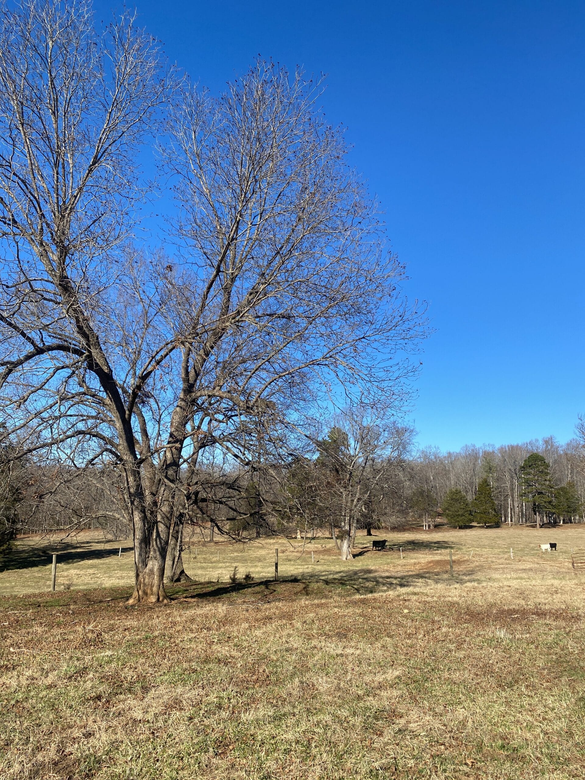 3rd Farm in Rowan County Image