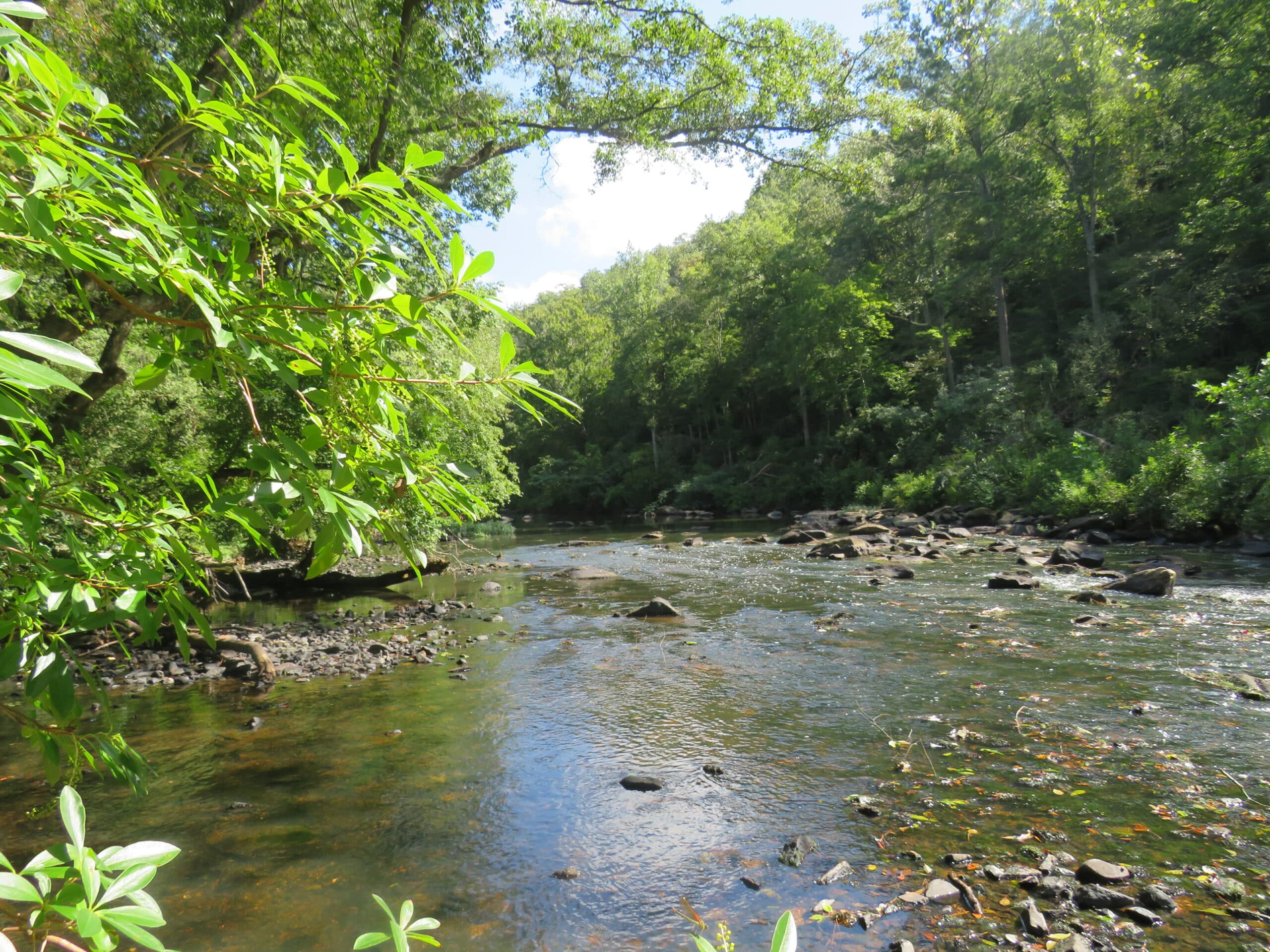 Little River in Montgomery County Image