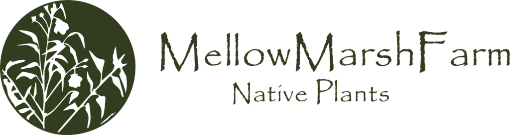 Mellow Marsh Farm logo